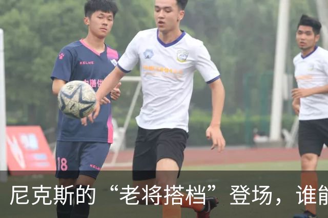 尼克斯的“老将搭档”登场，谁能逆袭成新星？
