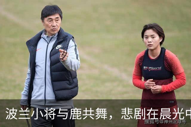 波兰小将与鹿共舞，悲剧在晨光中上演